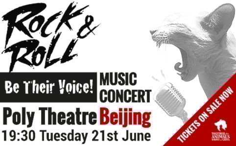 Rock Music Concert - Be Their Voice!